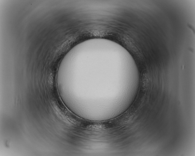 X0000102770639200809021030