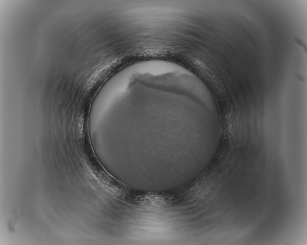 X0000102770640200809021030