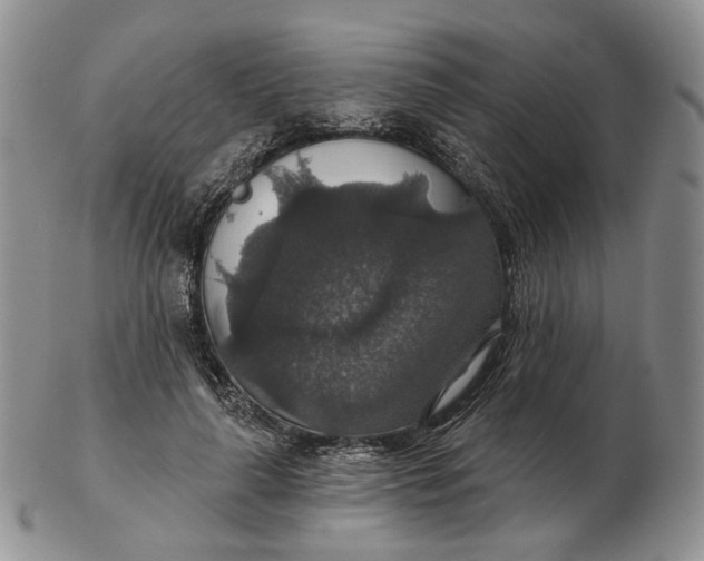 X0000102770643200809021030