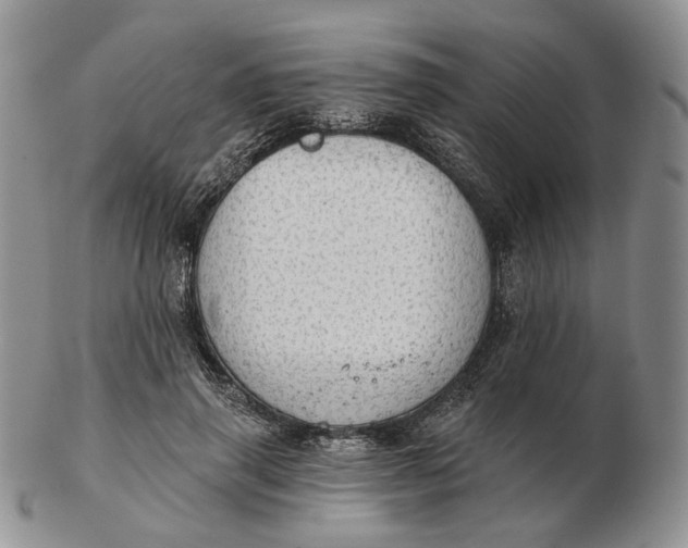 X0000102770645200809021030