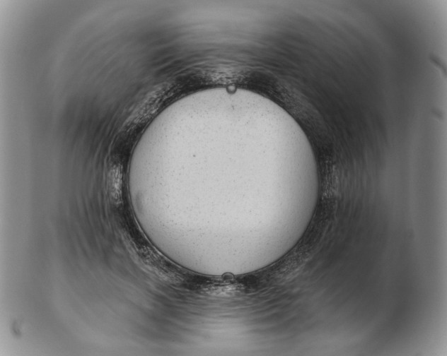 X0000102770646200809021030