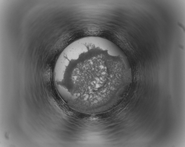 X0000102770647200809021030