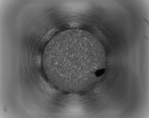 X0000102770648200809021030