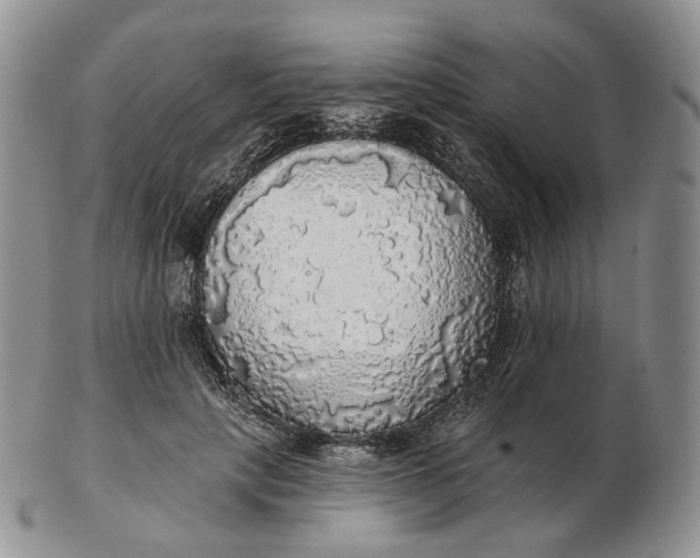 X0000102770649200809021030