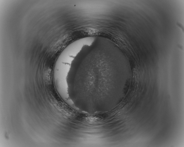 X0000102770650200809021030