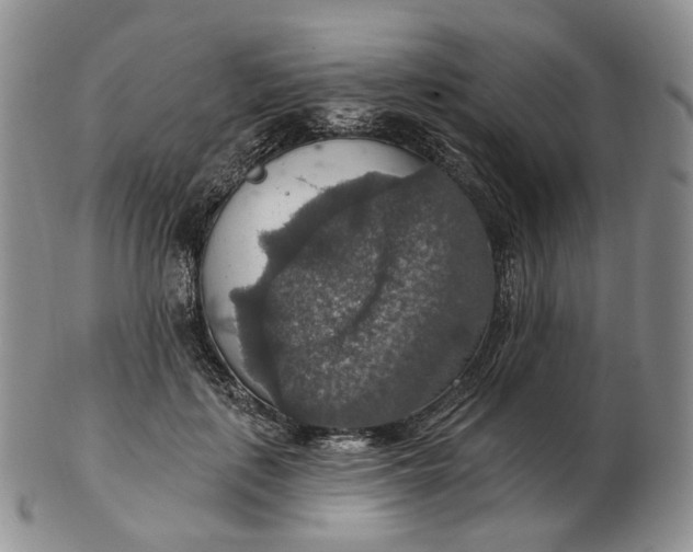 X0000102770651200809021030