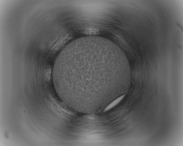 X0000102770652200809021030