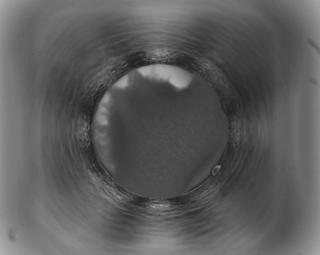 X0000102770653200809021030