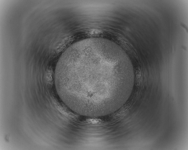 X0000102770654200809021030