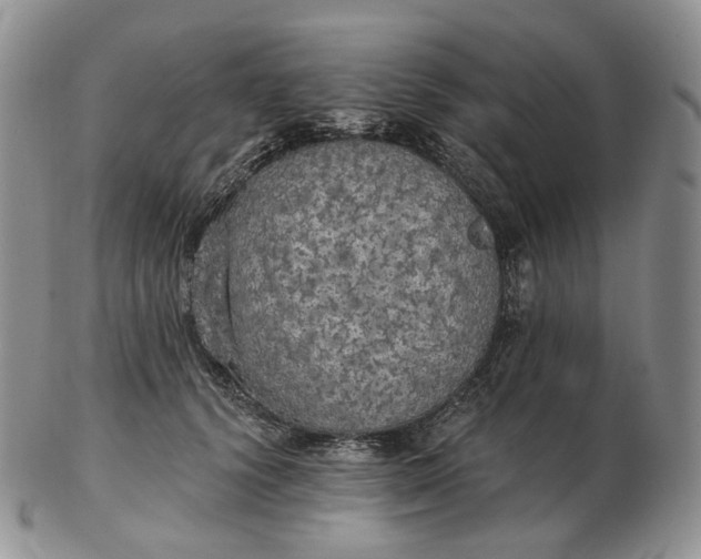 X0000102770656200809021030