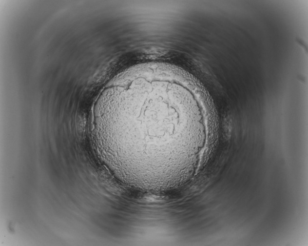 X0000102770657200809021030