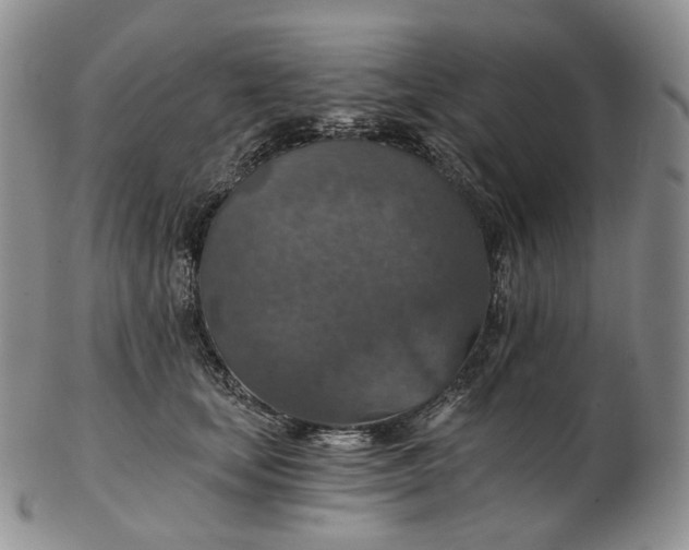 X0000102770659200809021031