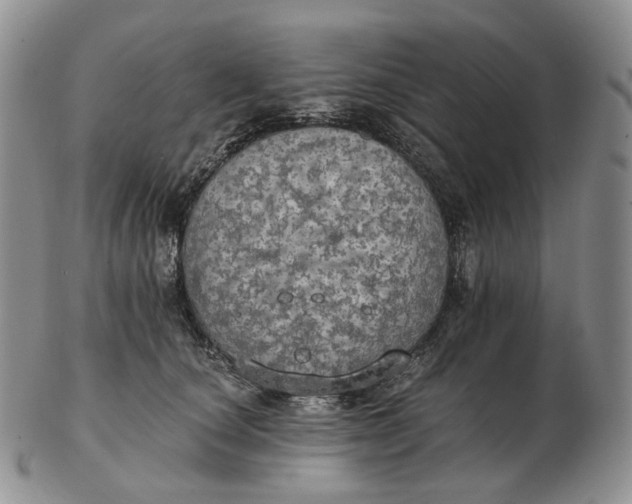 X0000102770660200809021031