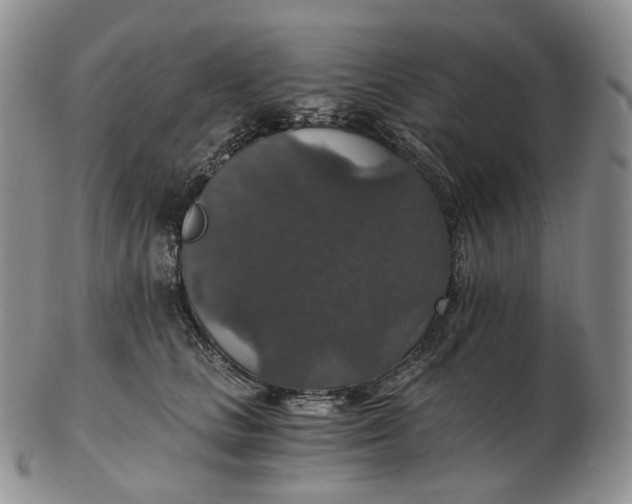 X0000102770661200809021031