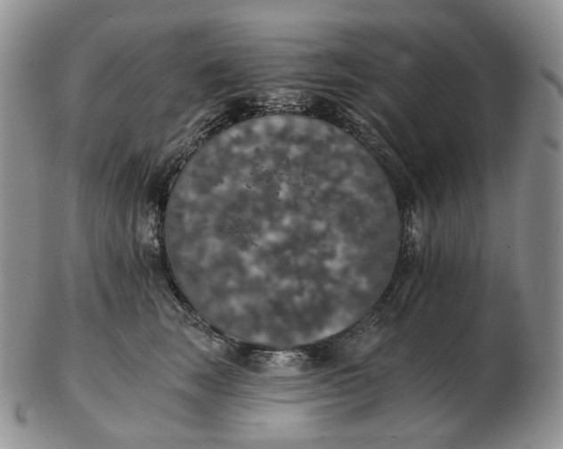 X0000102770663200809021031