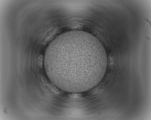 X0000102770664200809021031