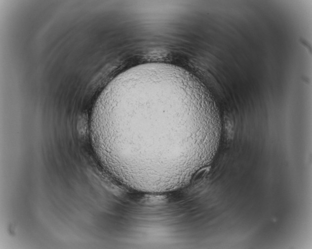 X0000102770665200809021031