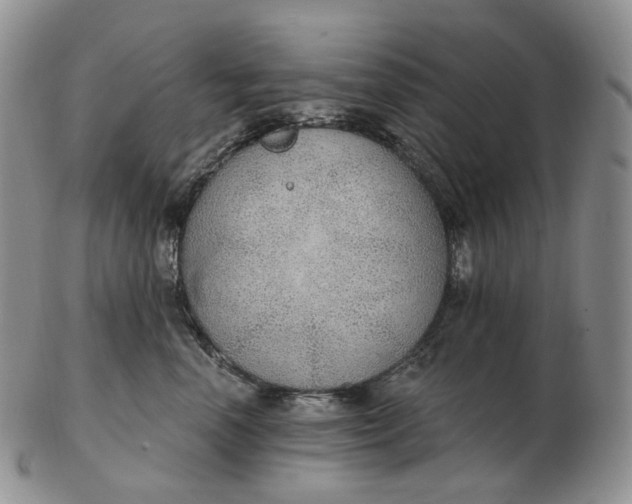 X0000102770666200809021031