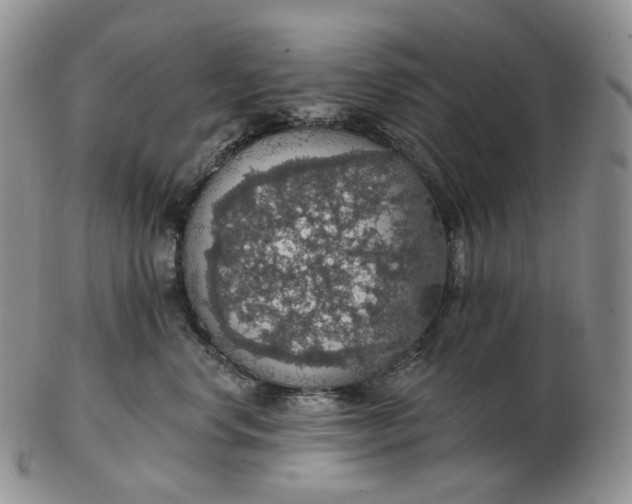 X0000102770668200809021031