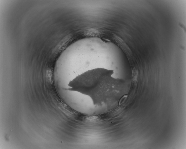 X0000102770669200809021031