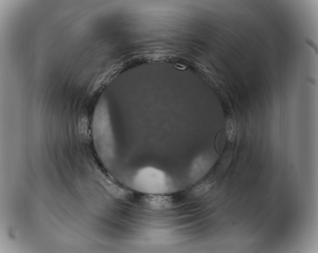 X0000102770670200809021031