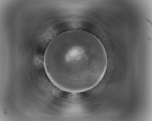 X0000102770672200809021031