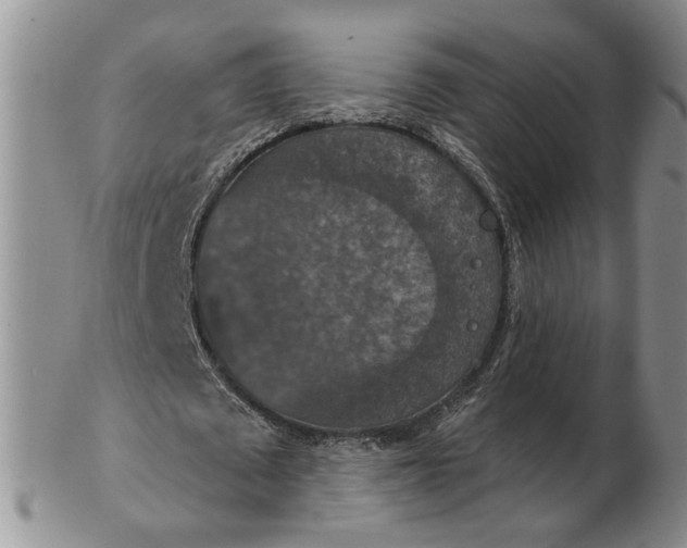 X0000102770673200809021030