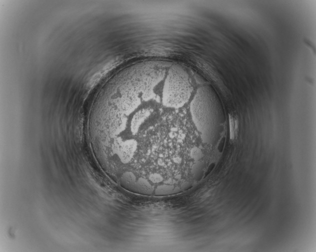 X0000102770675200809021030