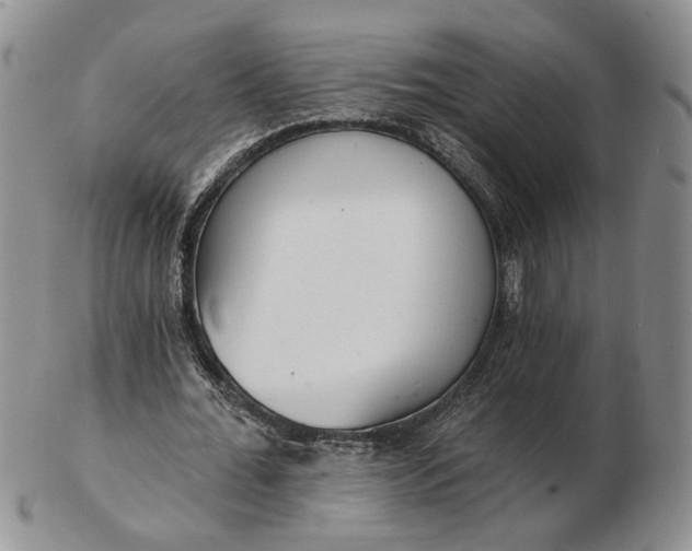 X0000102770676200809021030