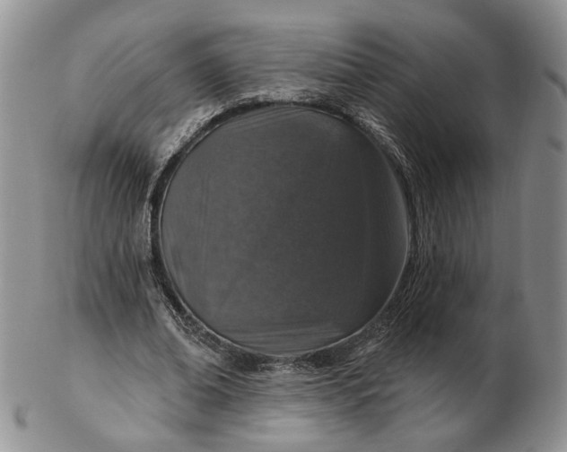 X0000102770678200809021030