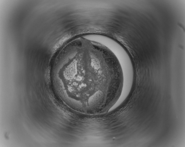 X0000102770679200809021030