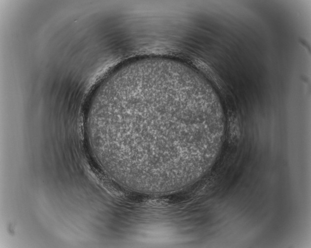 X0000102770680200809021030