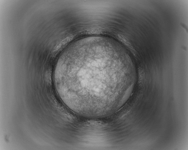 X0000102770681200809021030