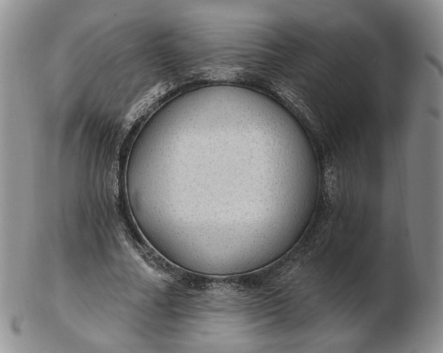 X0000102770682200809021030