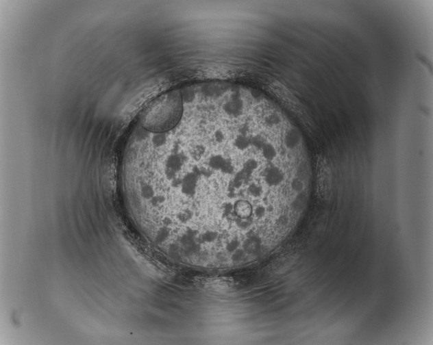 X0000102770683200809021030