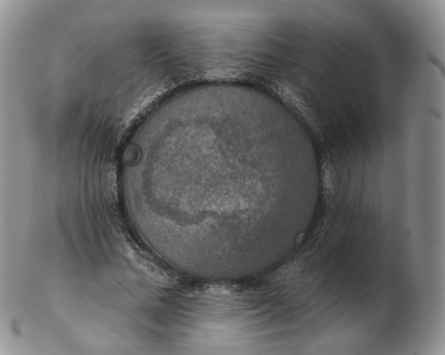 X0000102770684200809021030