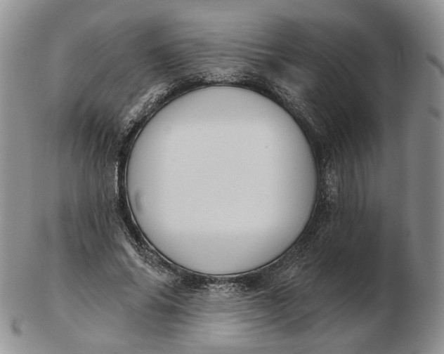 X0000102770686200809021030