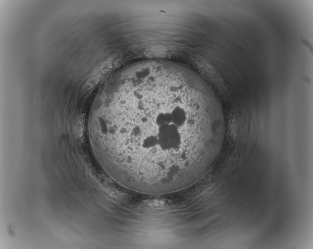 X0000102770687200809021030