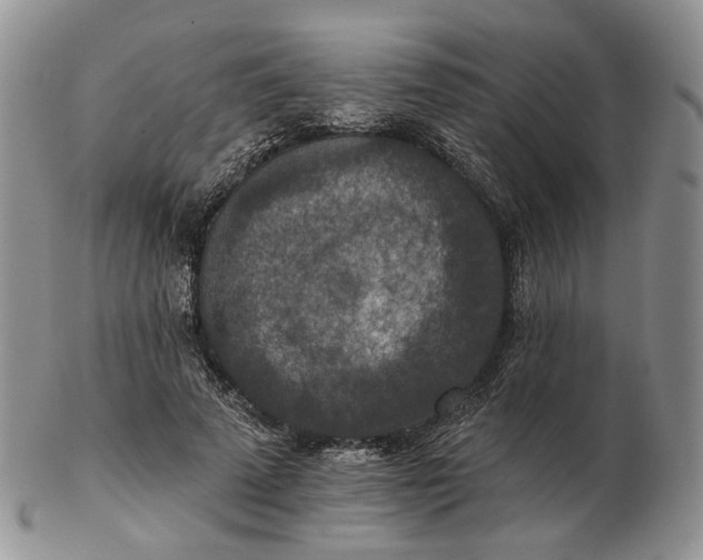 X0000102770689200809021030