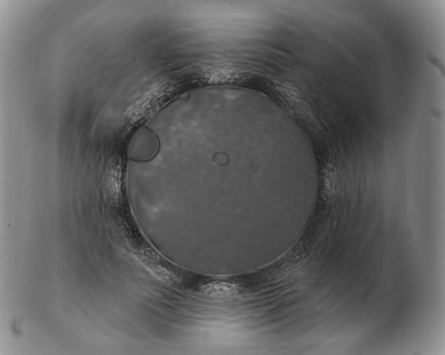 X0000102770691200809021030