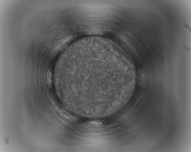 X0000102770692200809021030