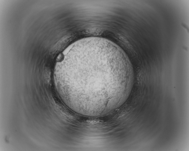 X0000102770693200809021030