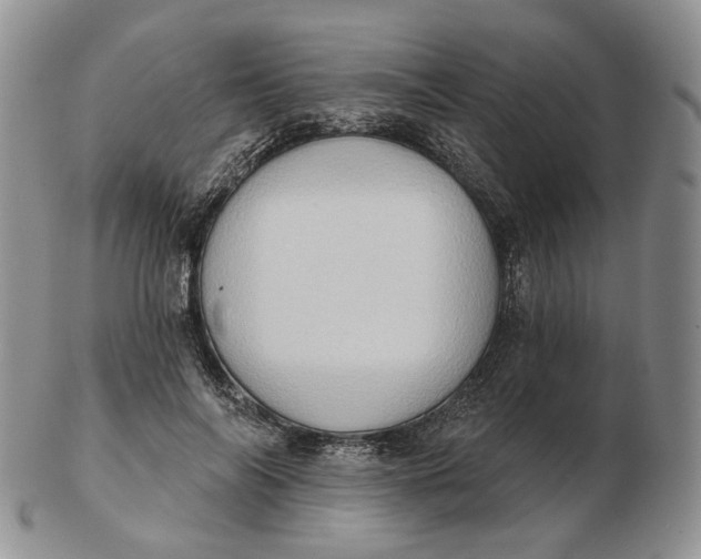 X0000102770694200809021030