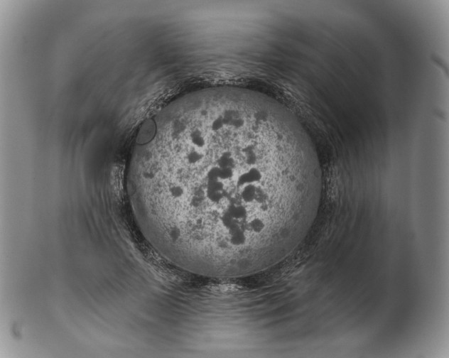 X0000102770695200809021030