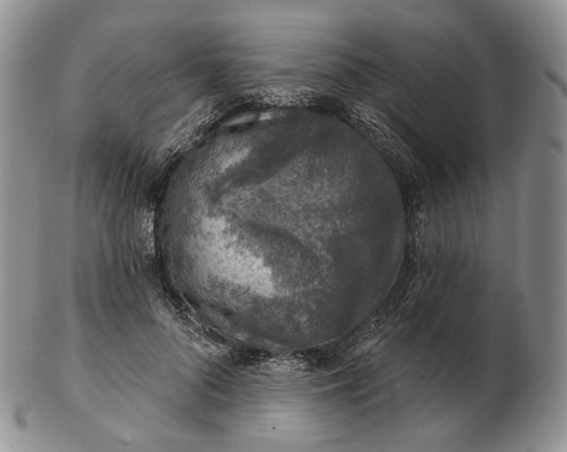 X0000102770696200809021030