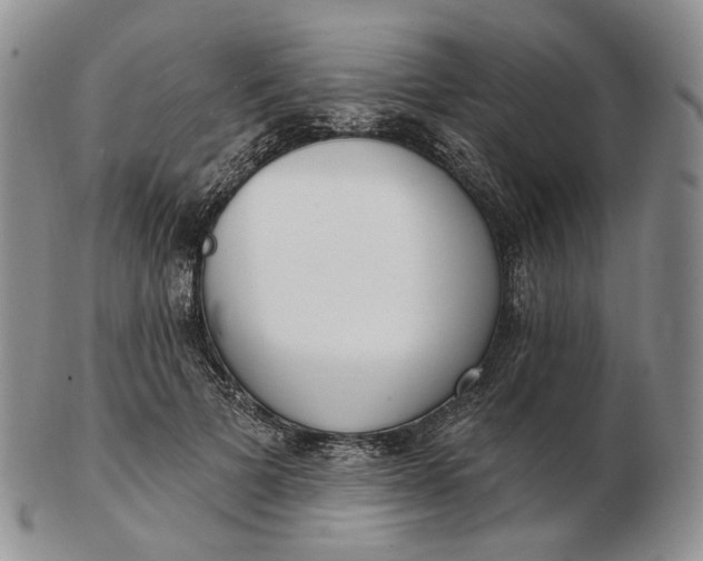 X0000102770697200809021030