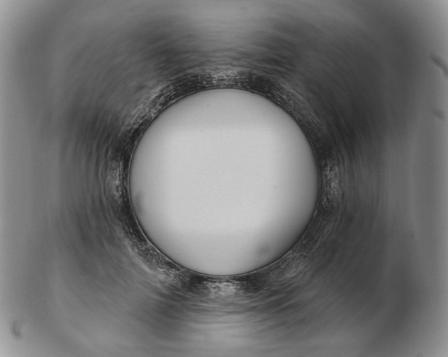 X0000102770698200809021030