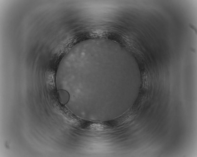 X0000102770699200809021030