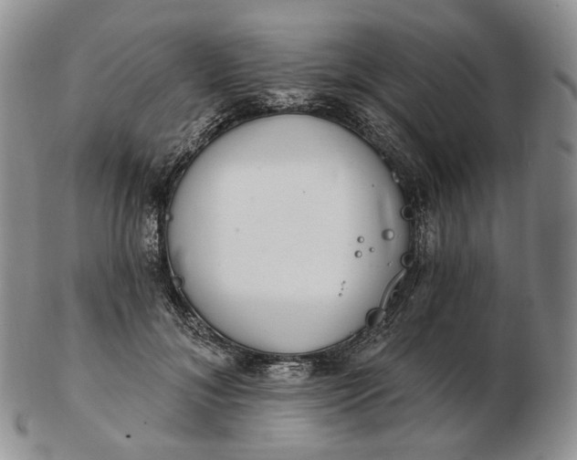 X0000102770700200809021030