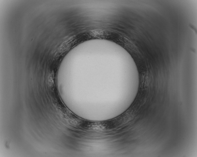 X0000102770702200809021030